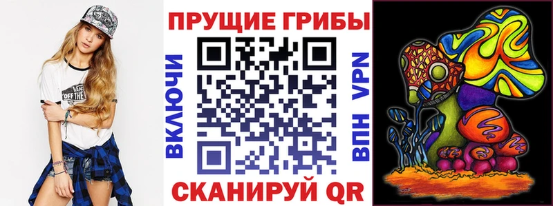 Галлюциногенные грибы Psilocybine cubensis  hydra tor  Ступино 